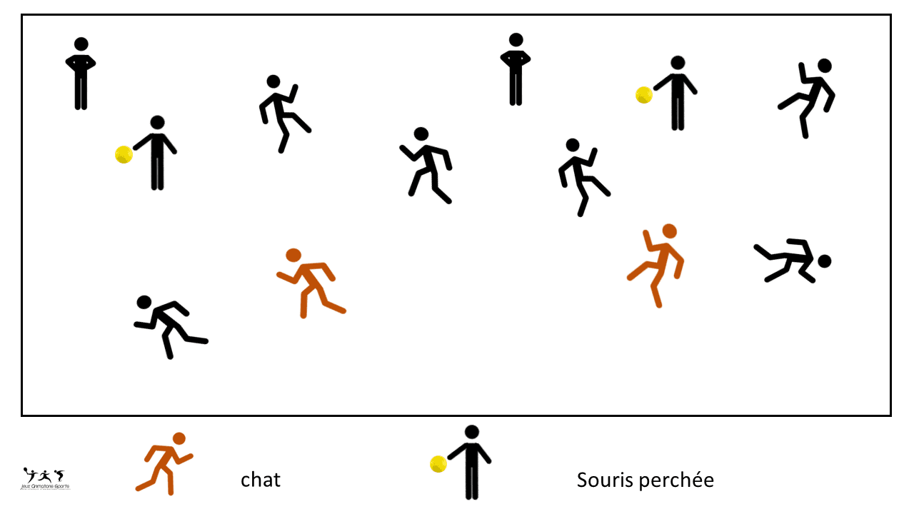 Chat perché ballon