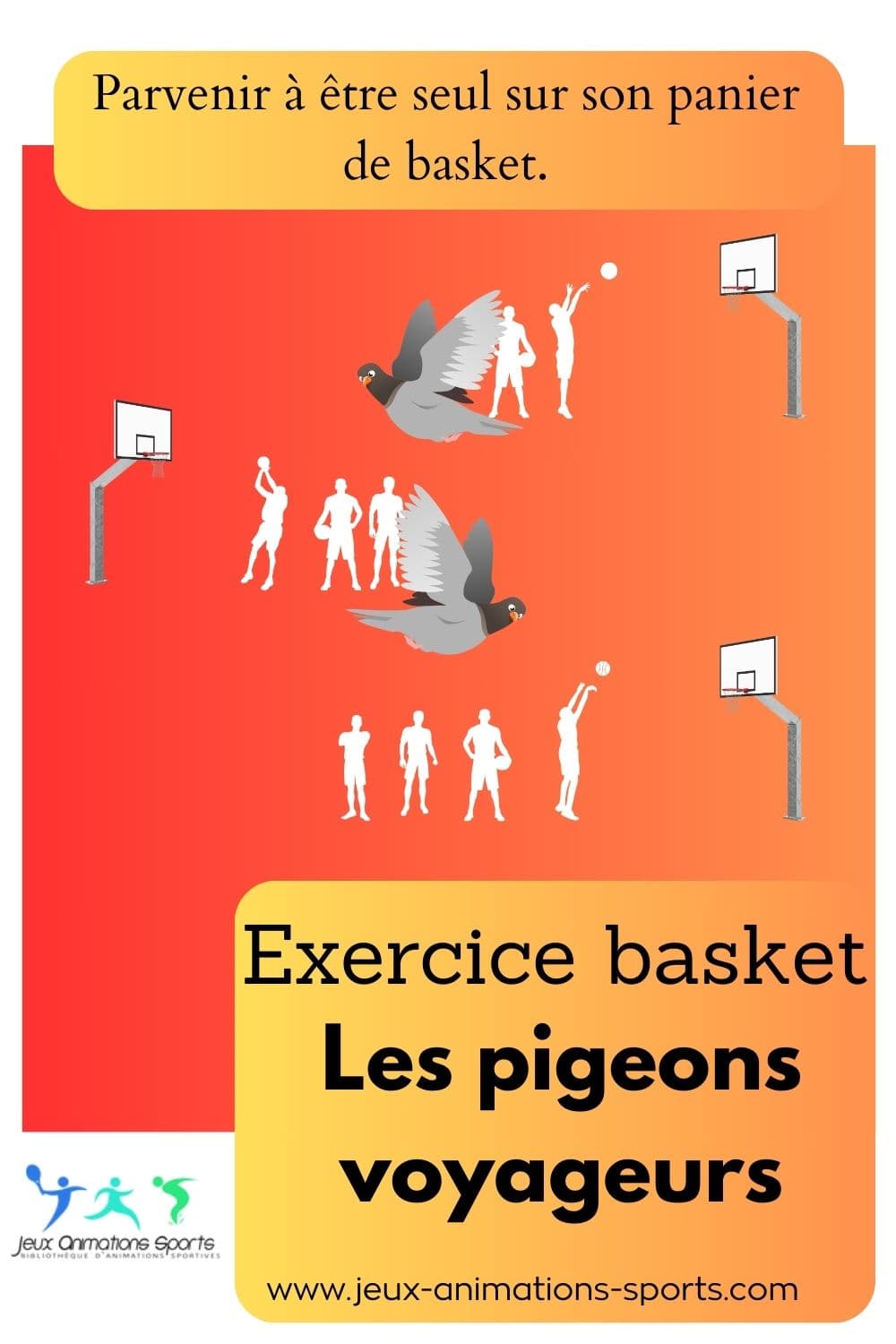 Les pigeons voyageurs