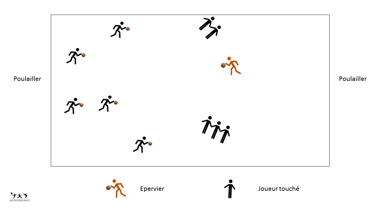 L'épervier variante basket